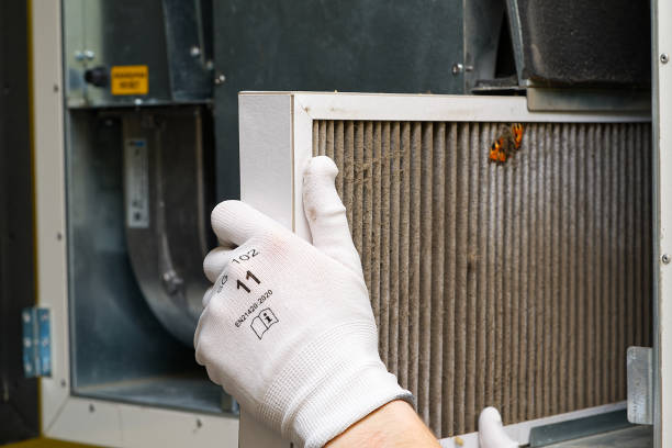 Best Duct Cleaning for Homes  in Roselle Park, NJ